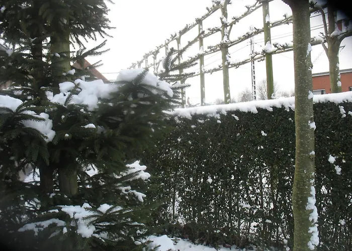 B&B Greenhouse 37
