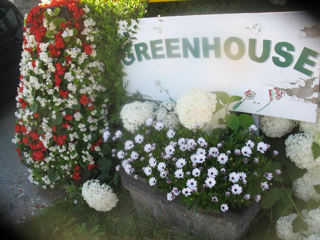 Greenhouse 37 Langemark
